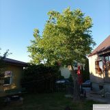 dom wolnostojący, 5 pokoi Pruszków Gąsin, ul. Edmunda Krzywdy-Rzewuskiego. Zdjęcie 2