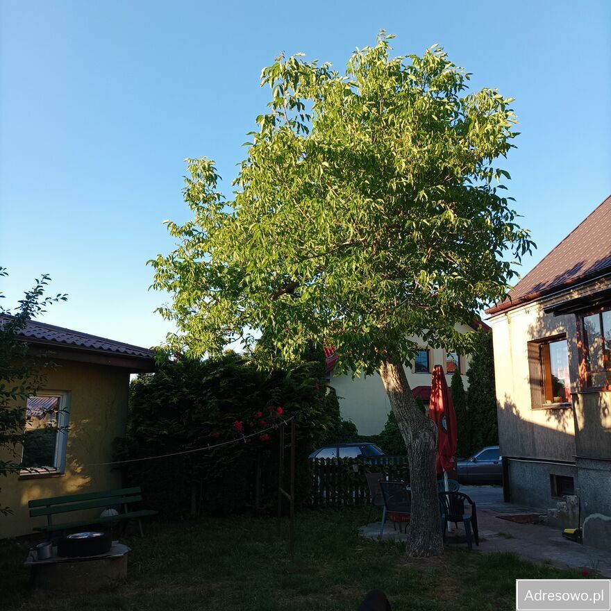 dom wolnostojący, 5 pokoi Pruszków Gąsin, ul. Edmunda Krzywdy-Rzewuskiego. Zdjęcie 3