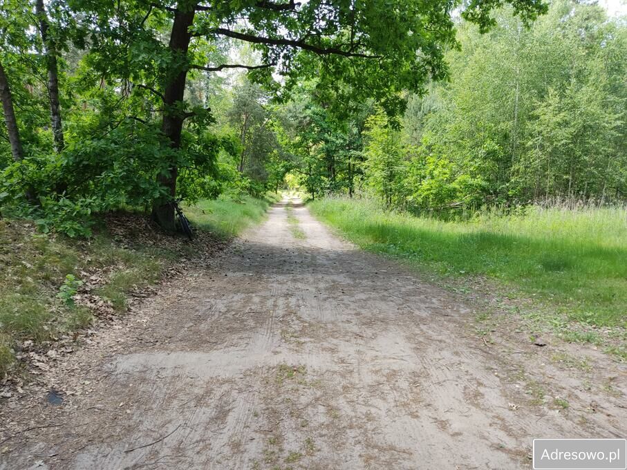 Działka rolna Pieńków. Zdjęcie 2