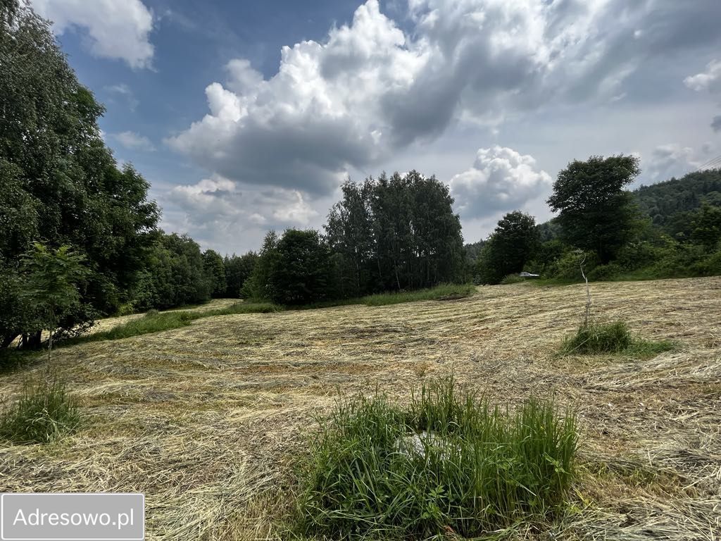 Działka budowlana Roczyny. Zdjęcie 6