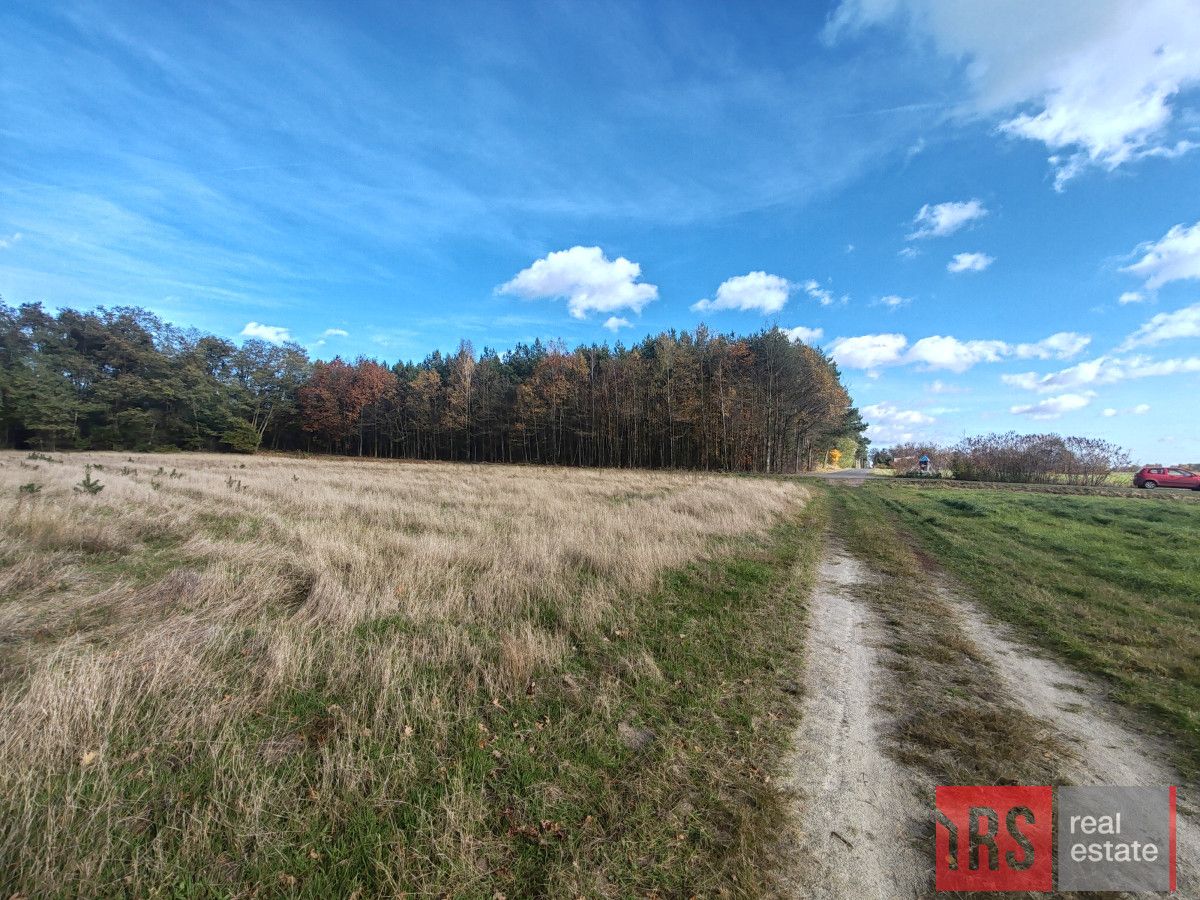 Działka budowlana Dziadowice. Zdjęcie 7