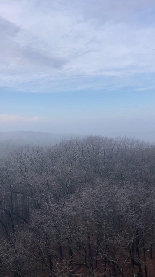 Mieszkanie 2-pokojowe Zielona Góra Przyjaźń, ul. Francuska. Zdjęcie 22