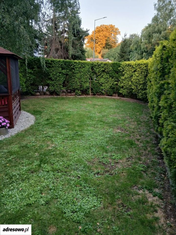 Mieszkanie 3-pokojowe Chojnów, ul. Ignacego Paderewskiego. Zdjęcie 3