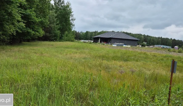 Działka budowlana Wilczeniec Fabiański