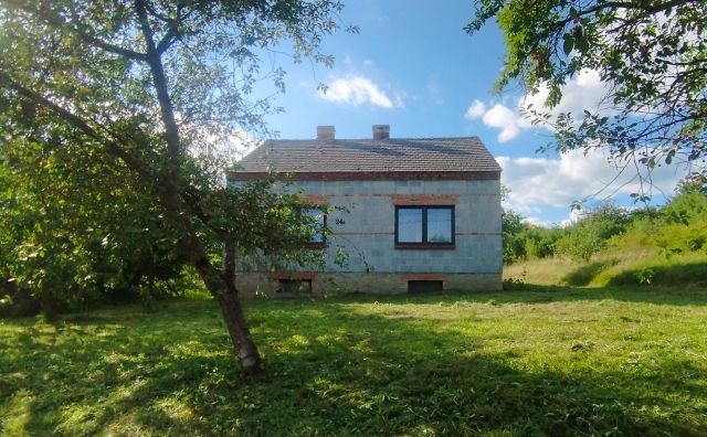 dom wolnostojący Szczeka. Zdjęcie 1