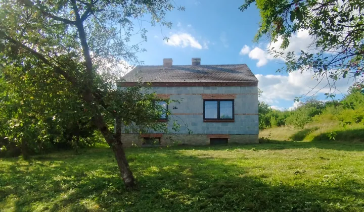 dom wolnostojący Szczeka