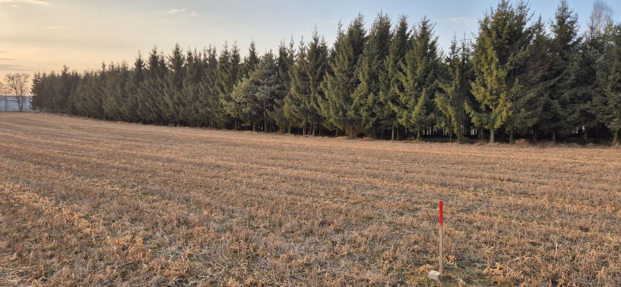 Działka budowlana Osie. Zdjęcie 5