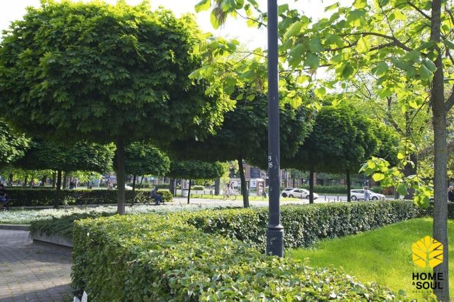 Mieszkanie 2-pokojowe Warszawa Śródmieście, ul. Grzybowska. Zdjęcie 11