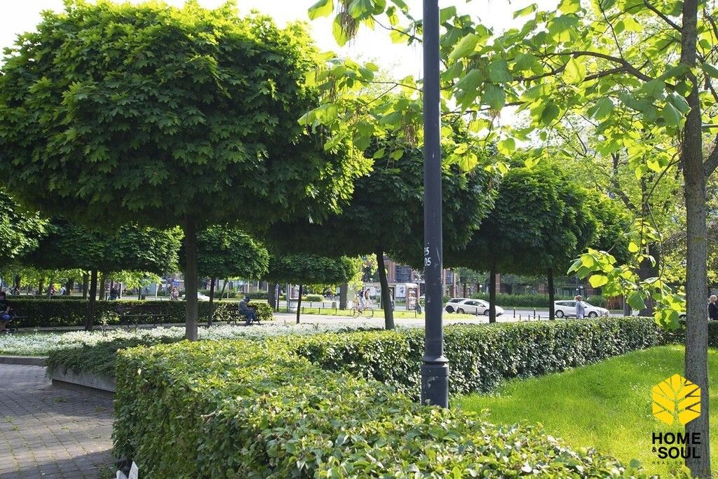 Mieszkanie 2-pokojowe Warszawa Śródmieście, ul. Grzybowska. Zdjęcie 11