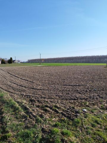 Działka budowlana Mikołajew. Zdjęcie 7