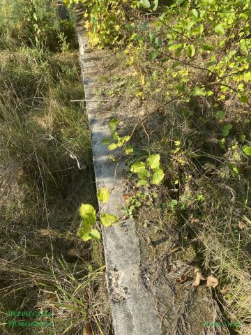 Działka budowlana Krąg. Zdjęcie 8