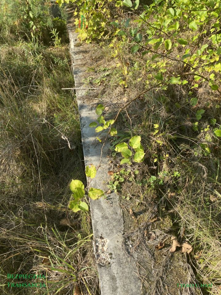 Działka budowlana Krąg. Zdjęcie 8