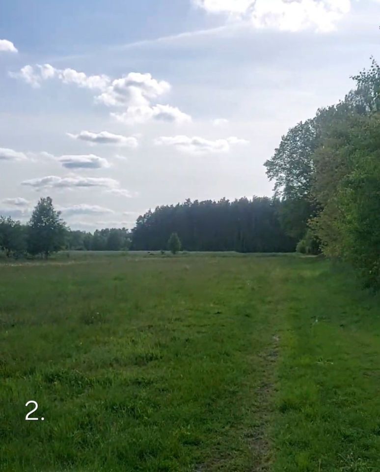 Działka rolno-budowlana Orpelów. Zdjęcie 3