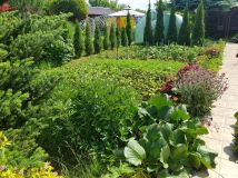 Działka rod Tarnobrzeg. Zdjęcie 4