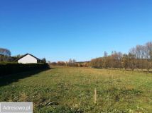 Działka rolno-budowlana Radoszyce. Zdjęcie 1