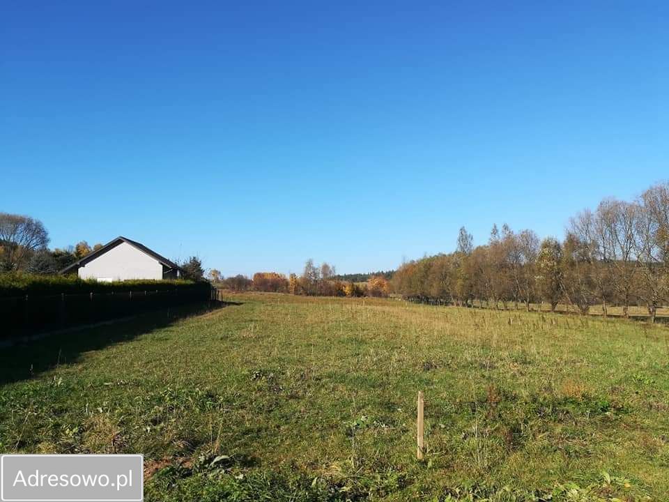 Działka rolno-budowlana Radoszyce. Zdjęcie 2