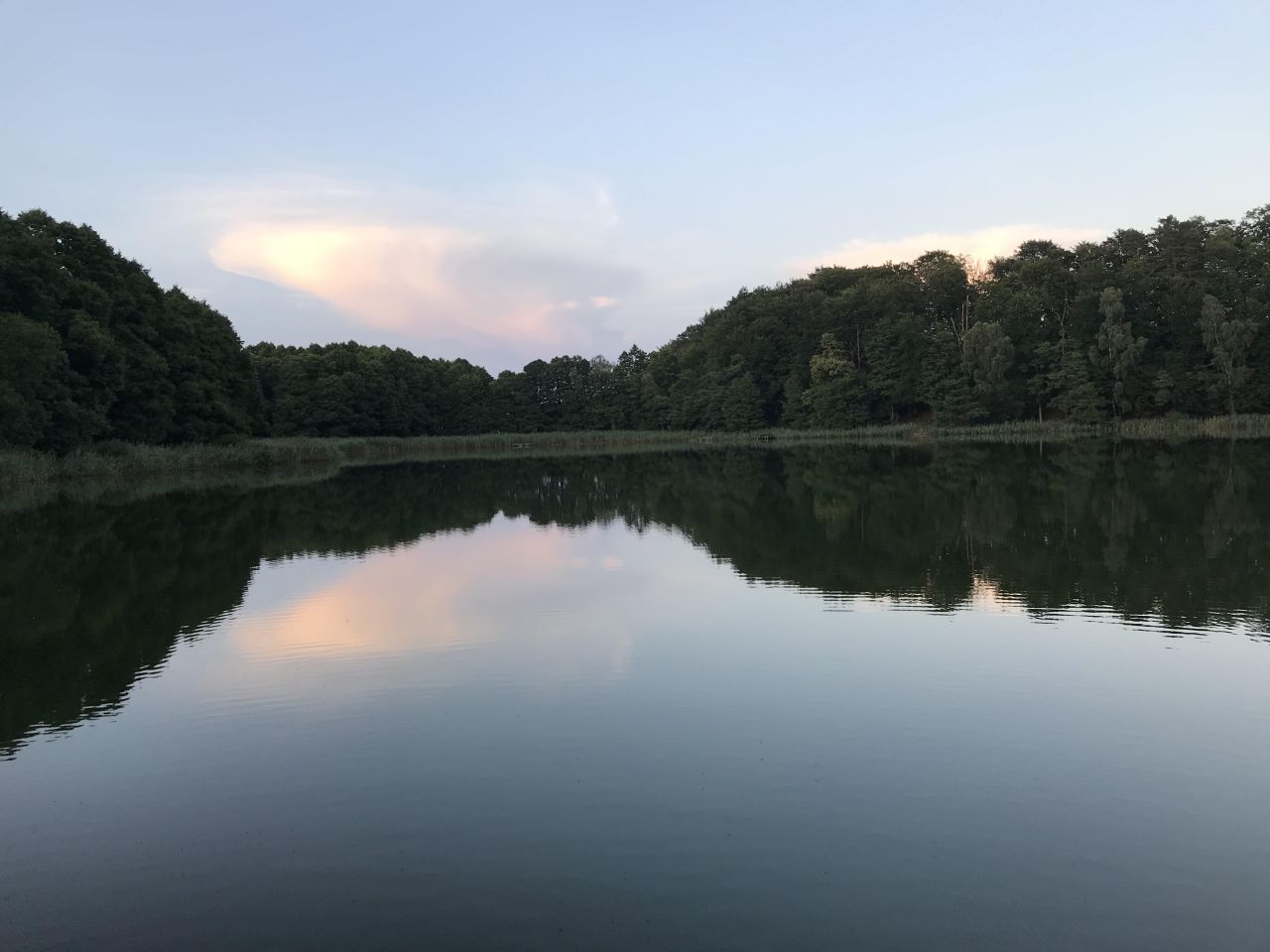 Działka leśna Broda. Zdjęcie 11