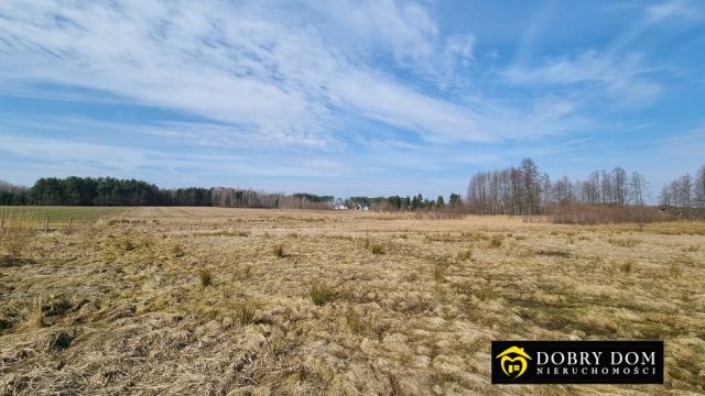 Działka budowlana Skrybicze. Zdjęcie 1