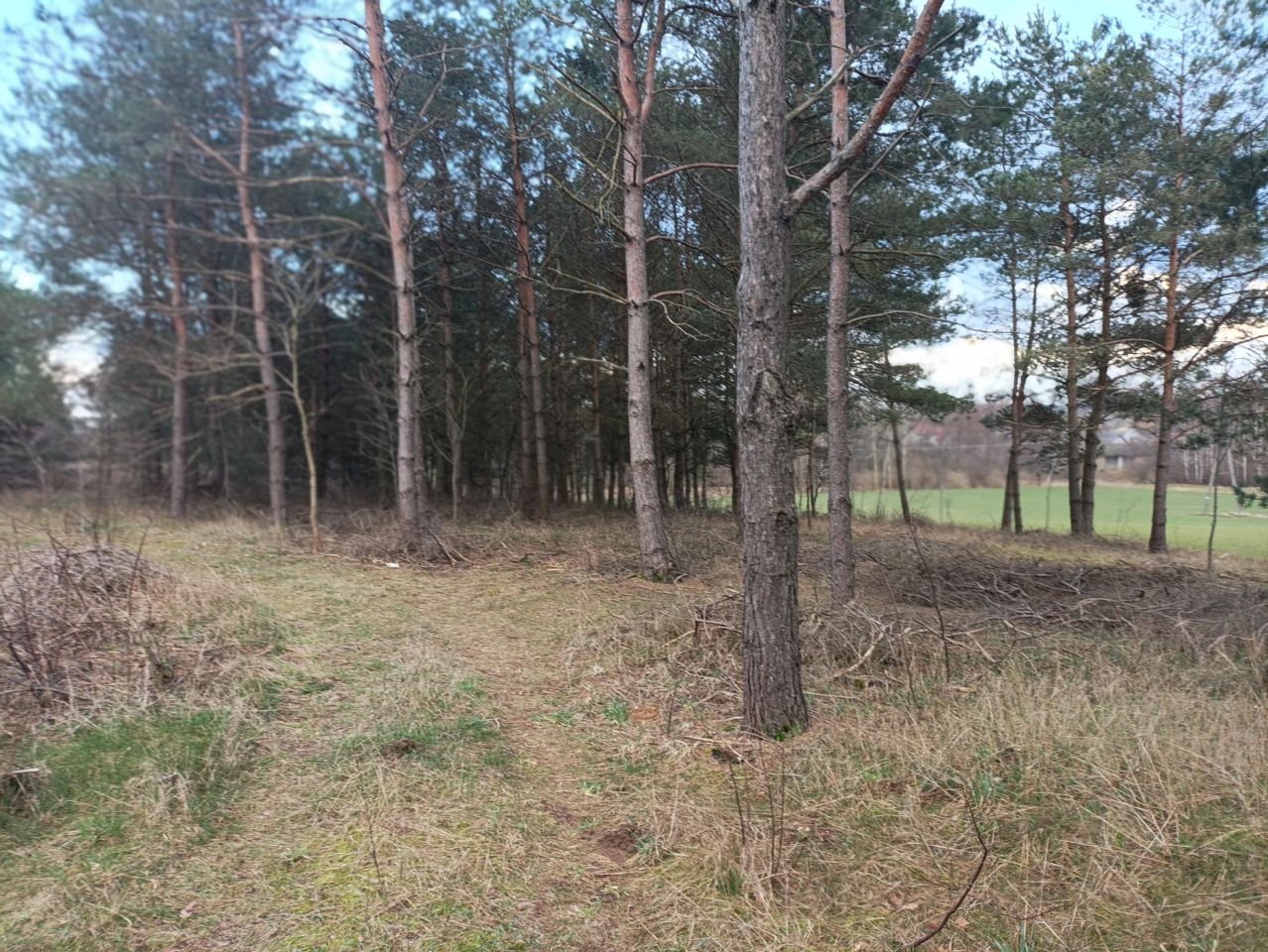 Działka budowlana Wylazłowo. Zdjęcie 8