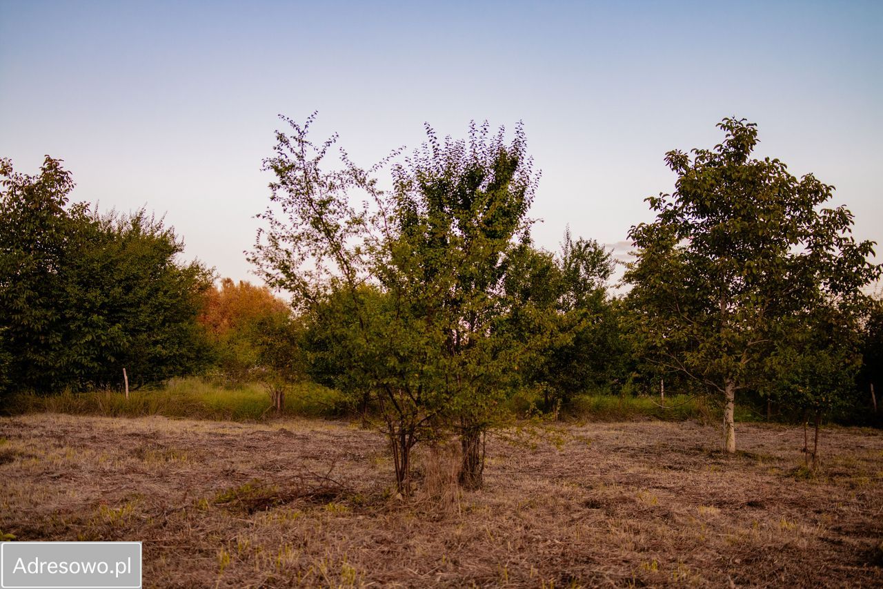 Działka budowlana Bydgoszcz Piaski, ul. ks. Augustyna Szamarzewskiego. Zdjęcie 7
