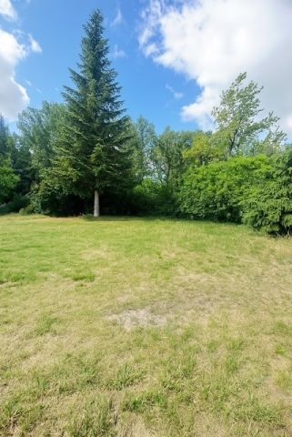 dom wolnostojący, 7 pokoi Łódź Teofilów, ul. Rojna. Zdjęcie 2