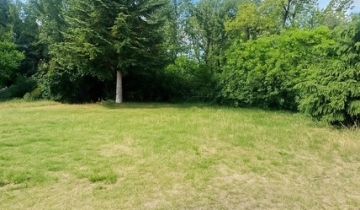 dom wolnostojący, 7 pokoi Łódź Teofilów, ul. Rojna