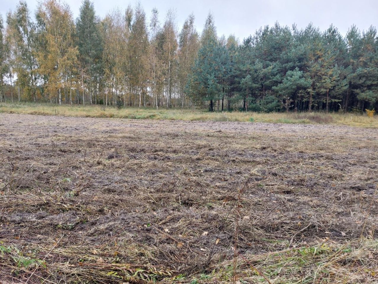 Działka rolno-budowlana Klecewko. Zdjęcie 3