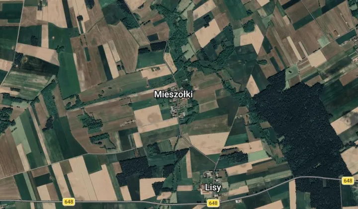 Działka siedliskowa Mieszołki