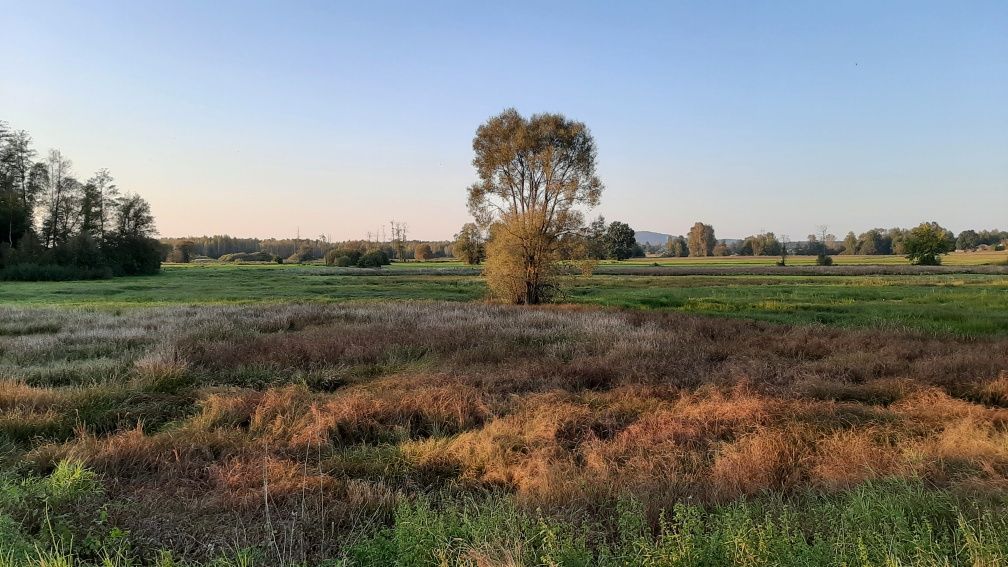 Działka budowlana Akwizgran. Zdjęcie 4