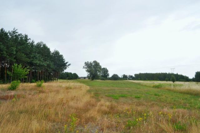 Działka rolna Warszawice. Zdjęcie 4