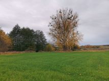 Działka budowlana Stare Czarnowo. Zdjęcie 2