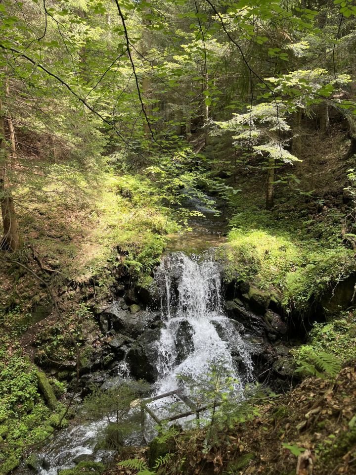 Działka budowlana Bogdanówka. Zdjęcie 6