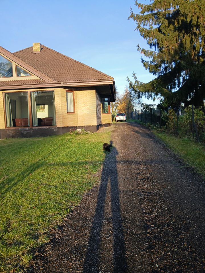 dom wolnostojący, 6 pokoi Cesarka. Zdjęcie 1