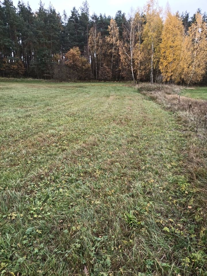 Działka Rumian. Zdjęcie 6