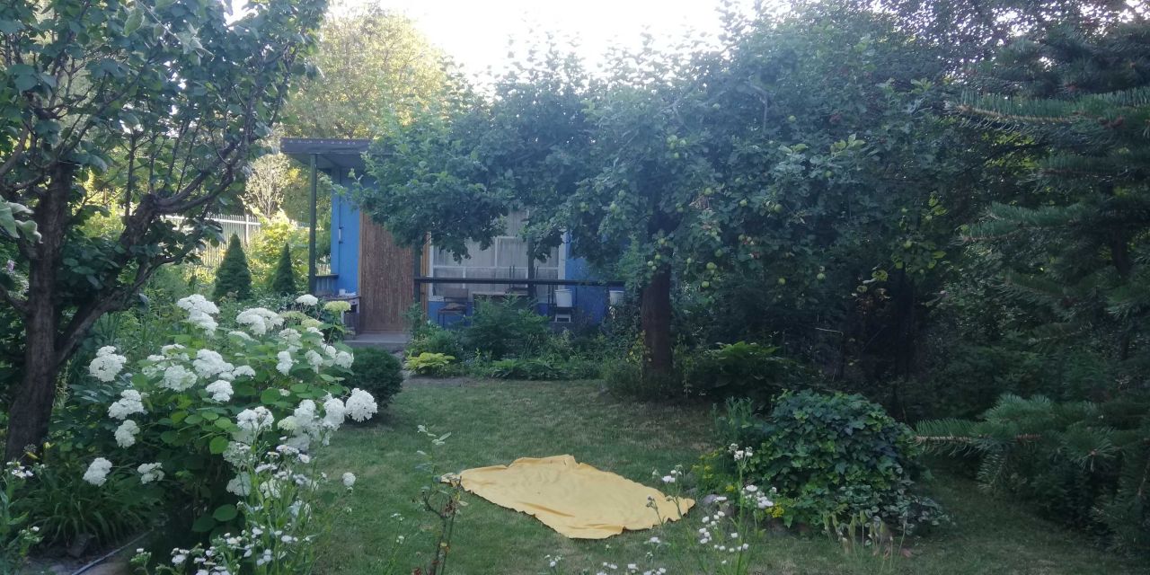 Działka rod Warszawa Żoliborz, ul. Kazimierza Promyka. Zdjęcie 4