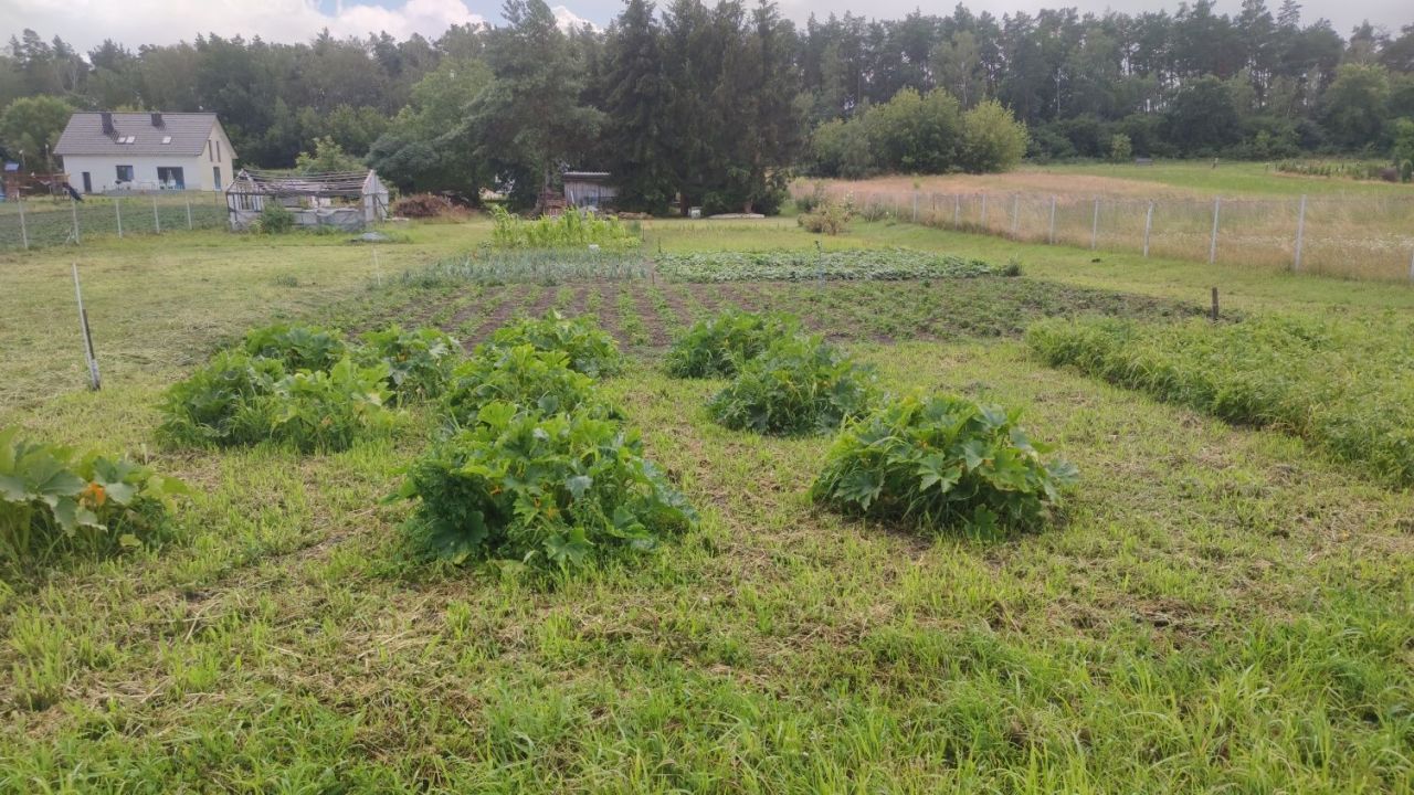 Działka budowlana Szymanowo. Zdjęcie 4
