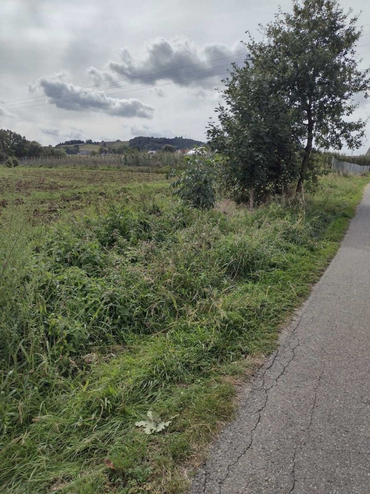 Działka budowlana Łososina Dolna. Zdjęcie 3