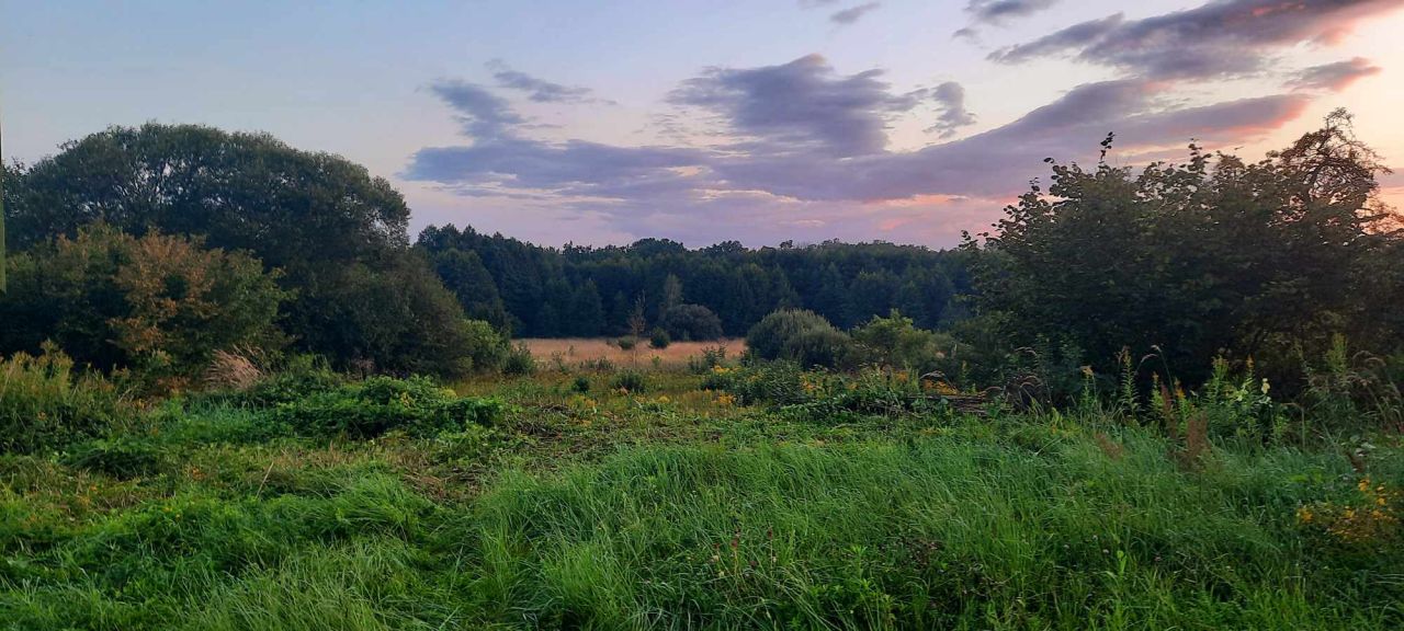 Działka rolna Młoszowa, ul. Krakowska