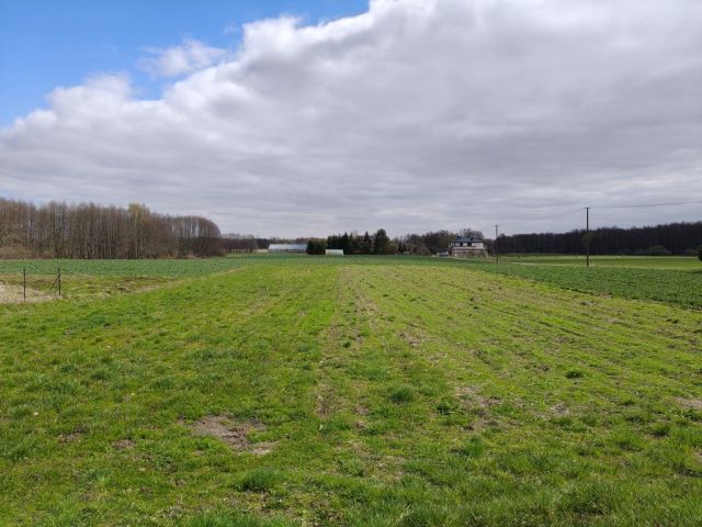 Działka rolno-budowlana Leśniczówka. Zdjęcie 1