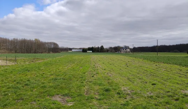 Działka rolno-budowlana Leśniczówka
