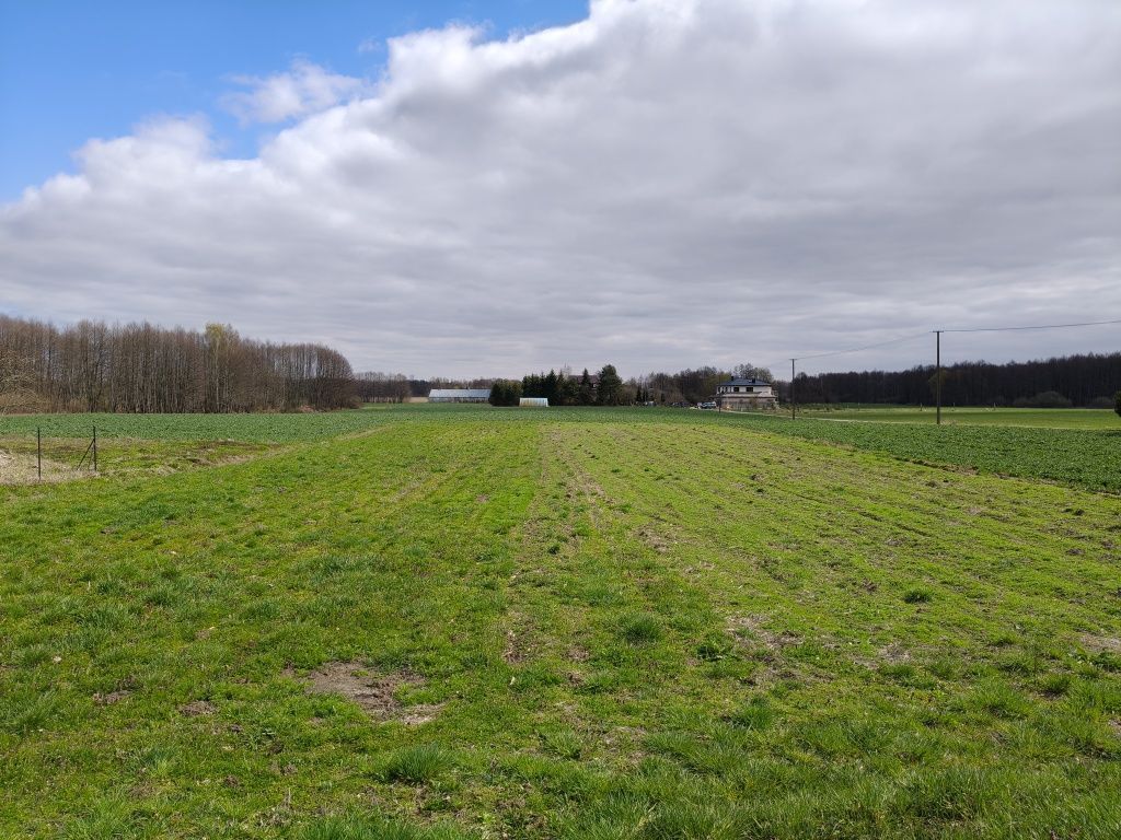 Działka rolno-budowlana Leśniczówka. Zdjęcie 1