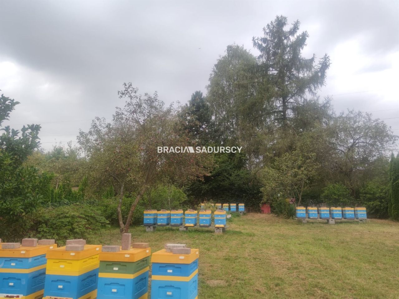 Działka budowlana Kryspinów, ul. Leśna. Zdjęcie 4