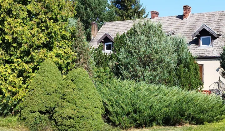 dom wolnostojący, 8 pokoi Lubień