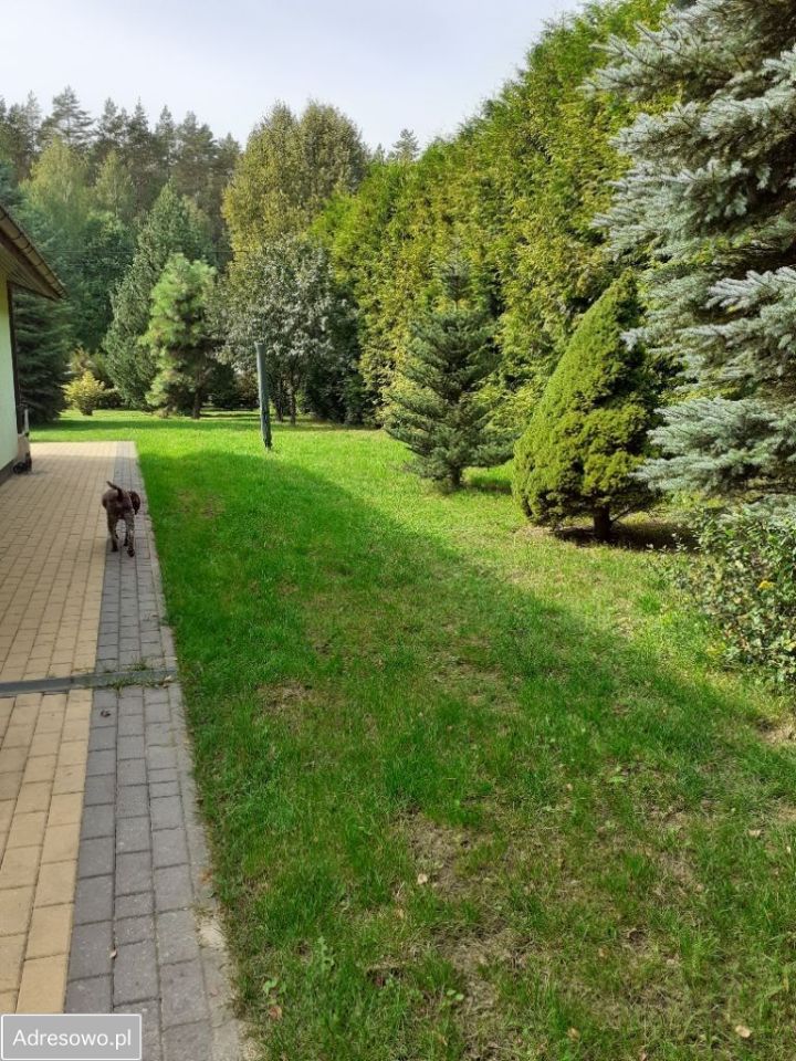 dom wolnostojący, 5 pokoi Ruciane-Nida, ul. Gruntowa. Zdjęcie 7