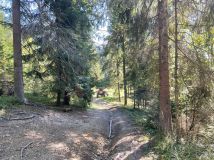 Działka leśna Lipnica Wielka. Zdjęcie 2