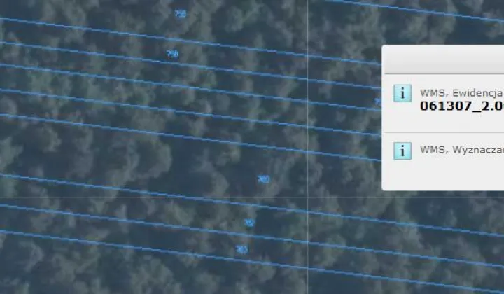 Działka leśna Nowy Orzechów