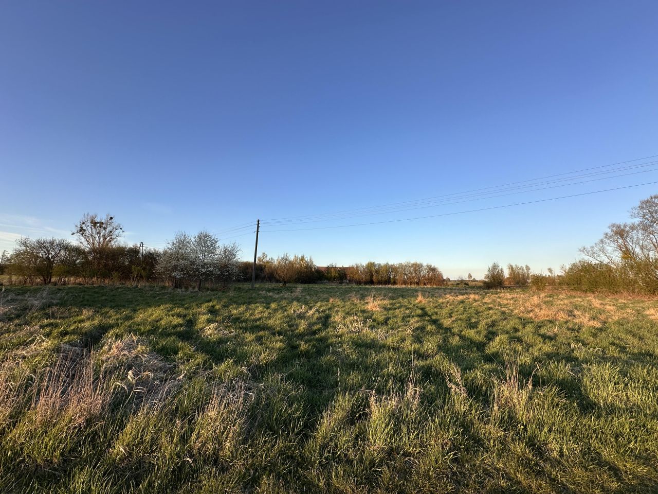 Działka budowlana Przynotecko. Zdjęcie 16