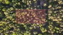 Działka budowlana Nowy Adamów. Zdjęcie 2