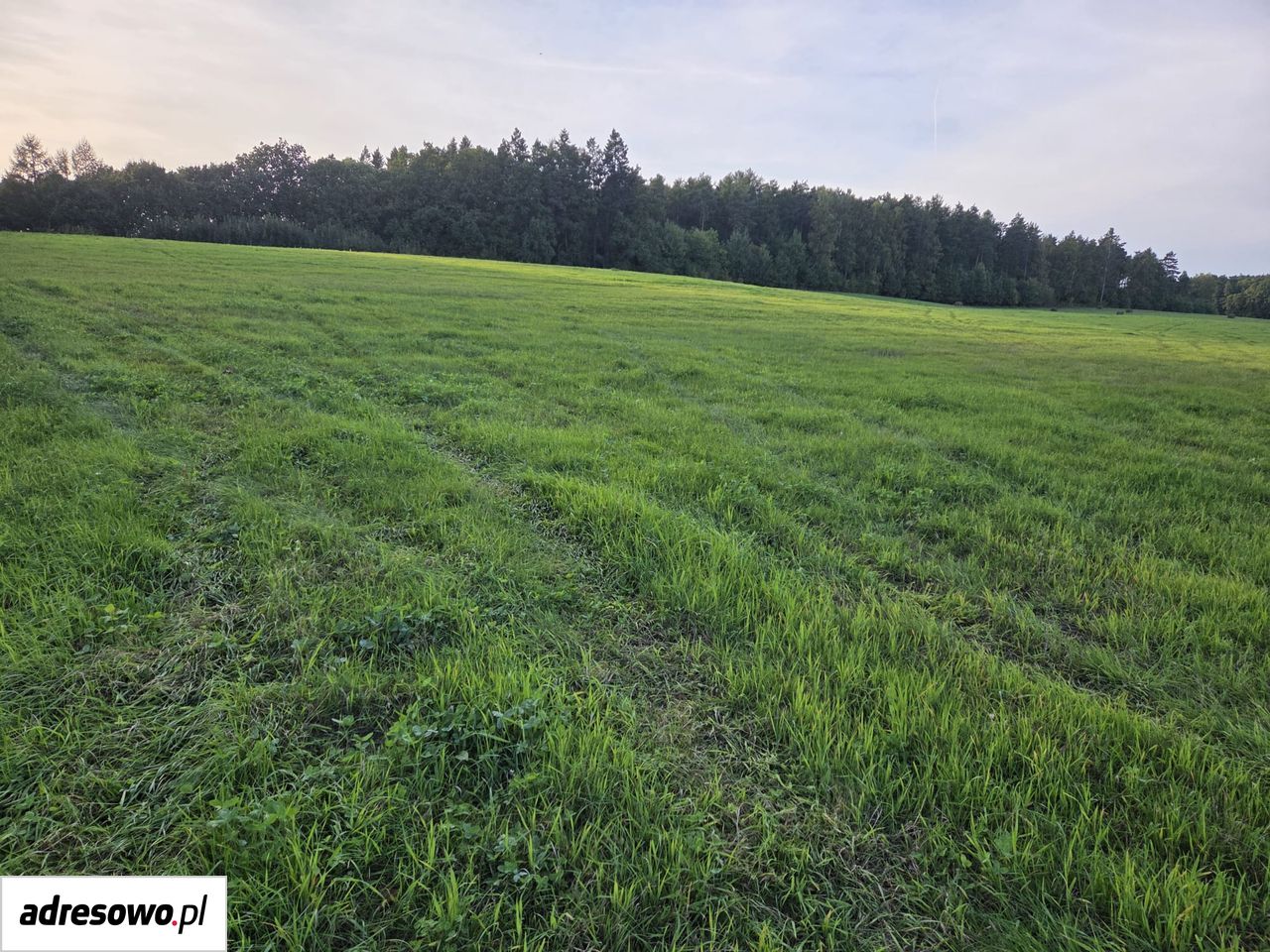 Działka rolno-budowlana Niedalino. Zdjęcie 8