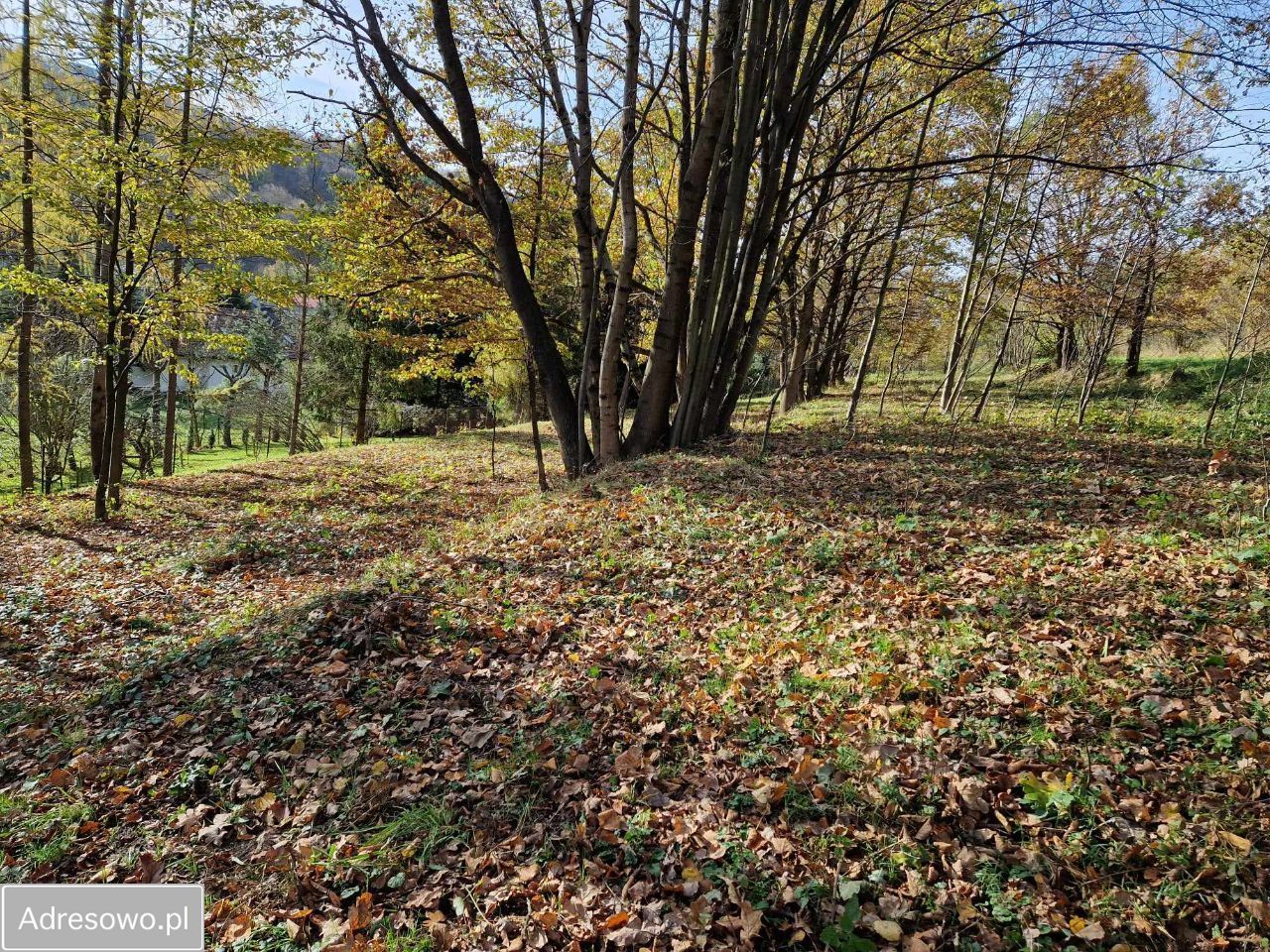 Działka Stróża. Zdjęcie 7